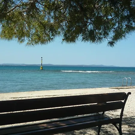 Dora * Zadar